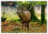 Die Brunft der Hirsche (Wandkalender... - Bild 12