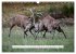 Faszination Hirschbrunft (Wandkalender... - Bild 15