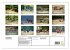 Faszination Hirschbrunft (Wandkalender... - Bild 6