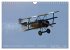 Classic Airplanes (Wandkalender 2026... - Bild 12