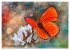 AUGENBLICK ZAUBER (hochwertiger Premium... - Bild 11