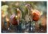 AUGENBLICK ZAUBER (hochwertiger Premium... - Bild 14