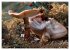 AUGENBLICK ZAUBER (hochwertiger Premium... - Bild 3