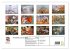 AUGENBLICK ZAUBER (hochwertiger Premium... - Bild 5