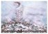 AUGENBLICK ZAUBER (hochwertiger Premium... - Bild 6