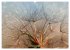 AUGENBLICK ZAUBER (hochwertiger Premium... - Bild 8