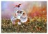 AUGENBLICK ZAUBER (hochwertiger Premium... - Bild 9