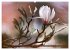 AUGENBLICK ZAUBER (hochwertiger Premium... - Bild 10