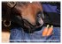 Pferdenasen (Wandkalender 2026 DIN A3... - Bild 15