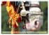 Pferdenasen (Wandkalender 2026 DIN A3... - Bild 9