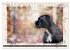 Boxer Photo&Kunst (Tischkalender 2026... - Bild 3
