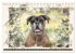 Boxer Photo&Kunst (Tischkalender 2026... - Bild 4