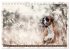 Boxer Photo&Kunst (Tischkalender 2026... - Bild 8