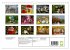Fotogalerie Fotogalerie