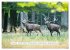 Faszination Hirschbrunft (hochwertiger... - Bild 7