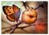 AUGENBLICK ZAUBER (Wandkalender 2026... - Bild 3