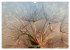 AUGENBLICK ZAUBER (Wandkalender 2026... - Bild 9