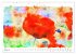 Mohnblüten in Aquarell (Wandkalender... - Bild 7
