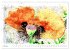 Mohnblüten in Aquarell (hochwertiger... - Bild 11
