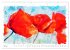 Mohnblüten in Aquarell (hochwertiger... - Bild 12