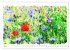 Mohnblüten in Aquarell (hochwertiger... - Bild 10
