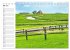 Hallig Hooge - Romantik Pur... - Bild 11