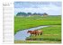 Hallig Hooge - Romantik Pur... - Bild 14