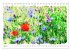 Mohnblüten in Aquarell (Tischkalender... - Bild 11