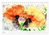 Mohnblüten in Aquarell (Tischkalender... - Bild 12