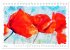 Mohnblüten in Aquarell (Tischkalender... - Bild 13