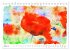 Mohnblüten in Aquarell (Tischkalender... - Bild 7
