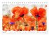 Mohnblüten in Aquarell (Tischkalender... - Bild 10