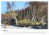 Landschaften auf dem Darß in Ölfarben... - Bild 9