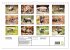 Faszination Schwarzwild (Wandkalender... - Bild 6