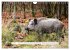 Faszination Schwarzwild (Wandkalender... - Bild 10