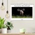 Faszination Hirschbrunft (Wandkalender... - Bild 2