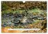 Faszination Hirschbrunft (Wandkalender... - Bild 13