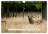 Faszination Hirschbrunft (Wandkalender... - Bild 14