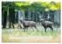 Faszination Hirschbrunft (Wandkalender... - Bild 8