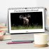 Faszination Hirschbrunft (Tischkalender... - Bild 2