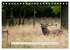 Faszination Hirschbrunft (Tischkalender... - Bild 14