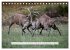 Faszination Hirschbrunft (Tischkalender... - Bild 15
