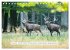 Faszination Hirschbrunft (Tischkalender... - Bild 8