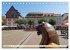 Gruß aus Neustadt an der Weinstraße... - Bild 15
