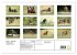 Setter - Geliebter Freund und... - Bild 5