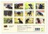 Weimaraner-Labrador (Wandkalender 2026... - Bild 6