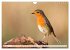 Geliebtes Rotkehlchen (Wandkalender... - Bild 13