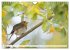 Geliebtes Rotkehlchen (Wandkalender... - Bild 3