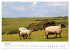 East Sussex (Wandkalender 2026 DIN A4... - Bild 12
