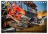 Blickpunkte Motocross (Tischkalender... - Bild 3